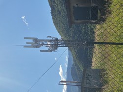 1778919137793_grzvav.jpg