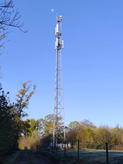 1793347692693_1vzny6.jpg