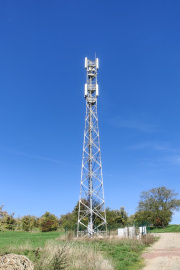 1664994378-309.jpg