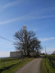 1549720409-165.jpg