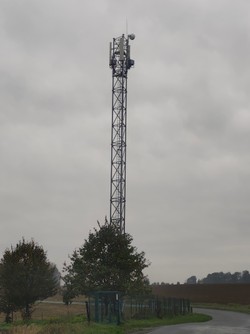 1792495487057_8zf3i0.jpg