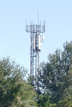1789556955306_cjcv8x.jpg