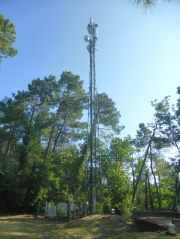 1751016454-686.jpg