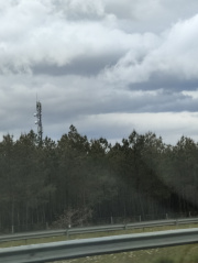 1714213021-951.jpg