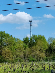 1650914137-241.jpg