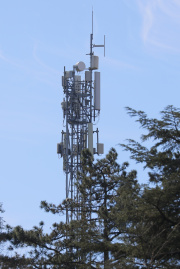 1743332884-315.jpg