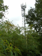 1537735865-426.jpg
