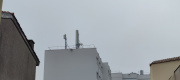 1630742340-224.jpg