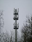 1639485228-911.jpg
