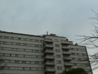 1497894798825.jpg