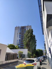1684313239-642.jpg
