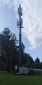 1728341584-392.jpg