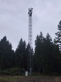 1792491168724_mogl80.jpg