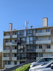 1645885254-223.jpg