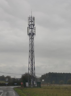 1792492593064_cux7km.jpg