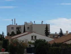 1791728545637_8nz9qn.jpg