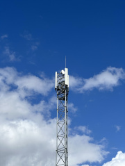 1681391345-303.jpg
