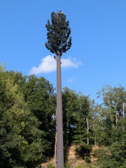 1785856212943_vdsl2r.jpg
