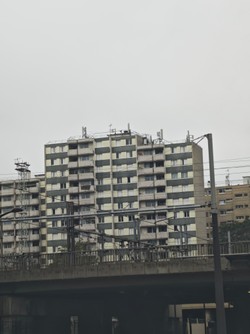 1790239831594_svlgkb.jpg