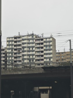 1790239831635_pahtgl.jpg