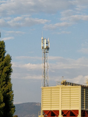 1535625008-973.jpg
