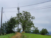 1593613011-758.jpg