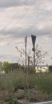 1661708154-78.jpg