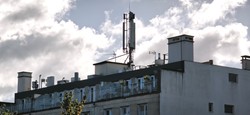 1792504741155_pawrzj.jpg