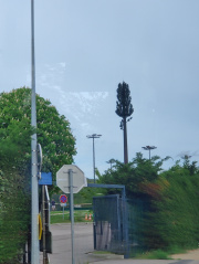 1682696540-733.jpg