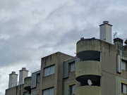 1704268764-46.jpg