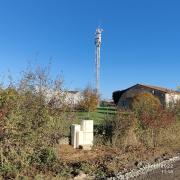 1668768755-194.jpg
