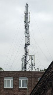 1716784331-206.jpg