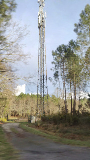 1741539285-83.jpg