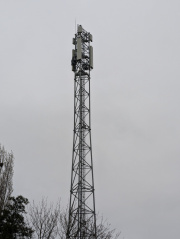 1730672138-84.jpg