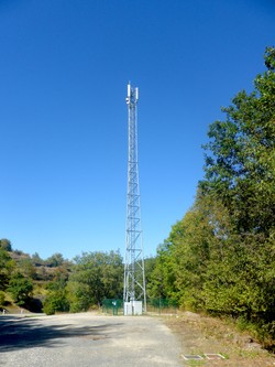 1789549343998_6rca6q.jpg