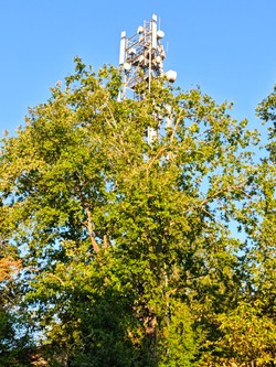 1787119584310_nput65.jpg