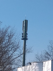 1549449596-500.jpg