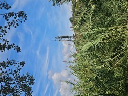 1790345008495_hrveny.jpg