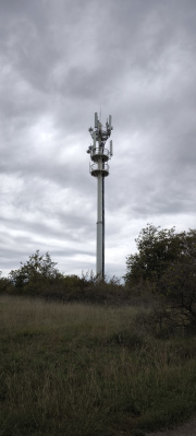 1728735727-327.jpg