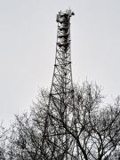 1711461231-969.jpg
