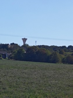 1788534684369_dtscok.jpg
