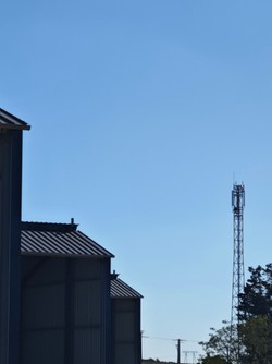 1788534485063_3es040.jpg