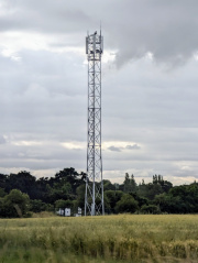 1719075075-804.jpg