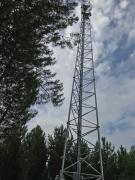 1533044880-816.jpg