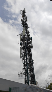 1717942341-924.jpg