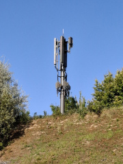 1755016959-510.jpg
