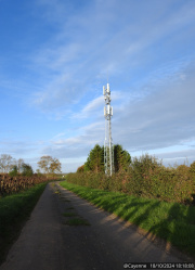 1731863613-464.jpg