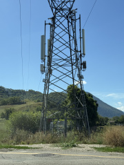 1756464882-747.jpg