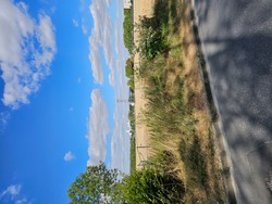 1787494905190_h206vw.jpg