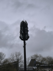 1740493552-240.jpg